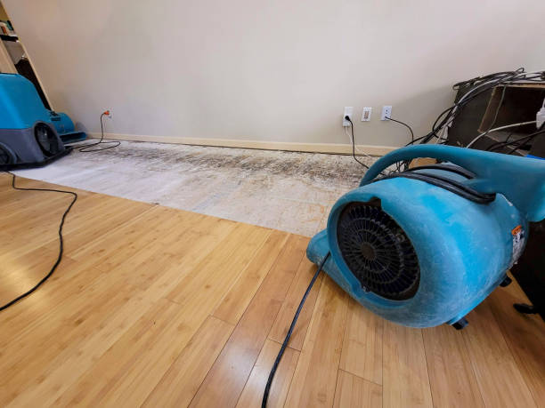 Professional Flood Damage Cleanup technician working in Fairfax, OH